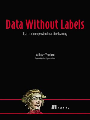 cover image of Data Without Labels